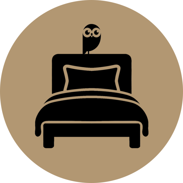 Un lit simple avec un coussin, surmonté d’une chouette.