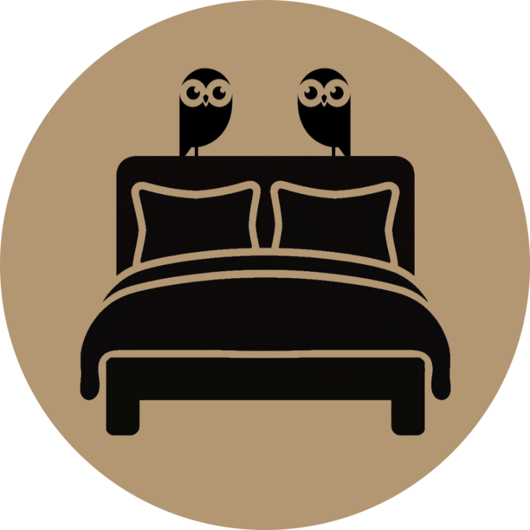 Lit double standard avec deux coussins, surmonté de deux chouettes.